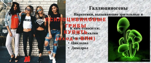 твердый Володарск