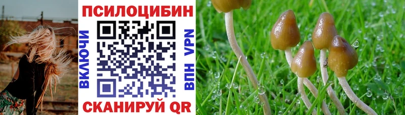 Галлюциногенные грибы MAGIC MUSHROOMS KRAKEN ссылка Петров Вал